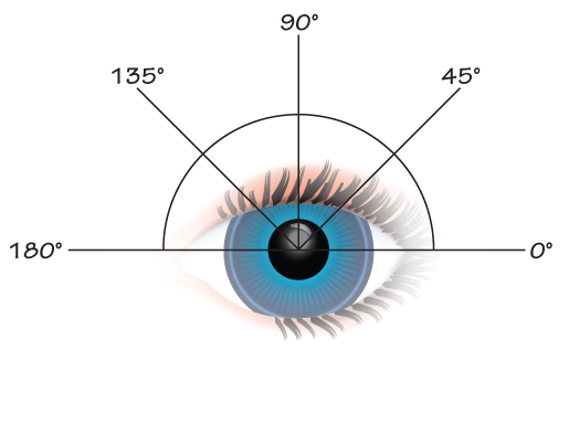 OpticianWorks Online Optician Training